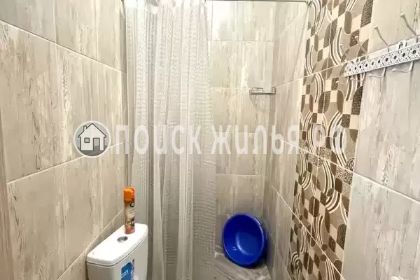 «Алина» «Алина»