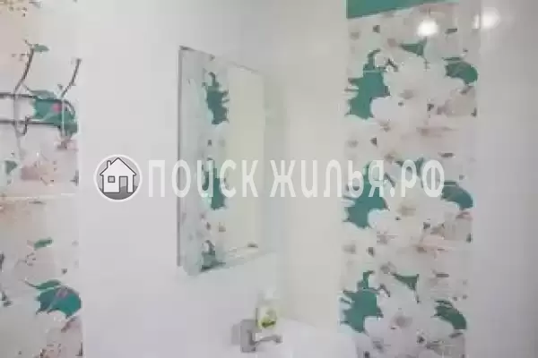 «Алина» «Алина»