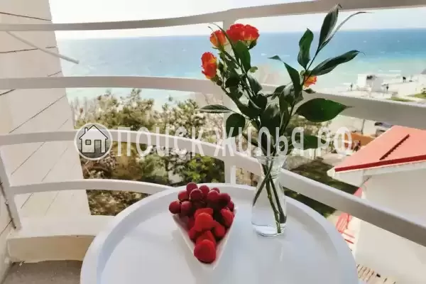 «Берег Надежды» «Берег Надежды»