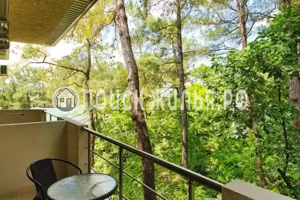 «Мирабель»