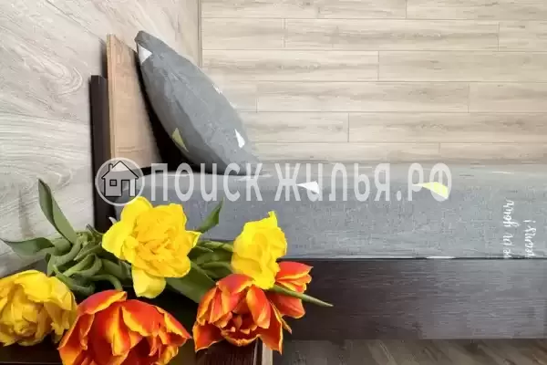 «Талисман Хаус»