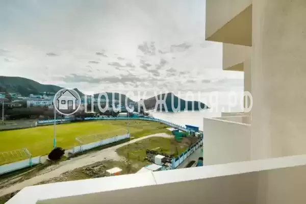 «Династия»