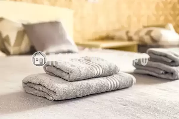 «Москвичка»