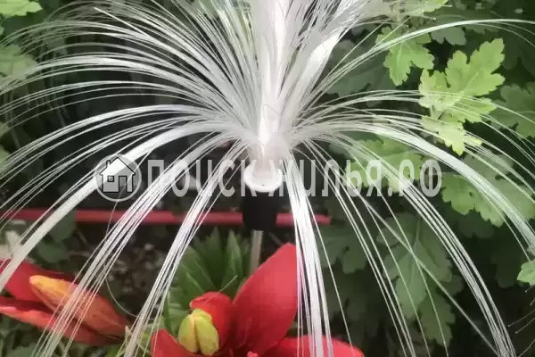 Гостевой дом «Анжелина»