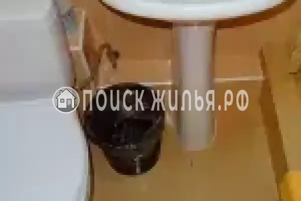 «Южный берег»