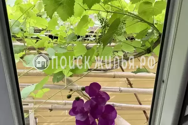 «Loo Home&Sea» «Loo Home&Sea»