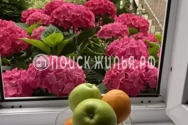 «Loo Home&Sea» «Loo Home&Sea»