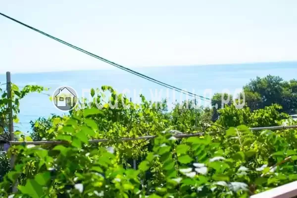 «Панорама»