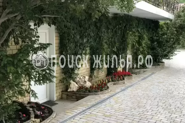 «Горный воздух» «Горный воздух»