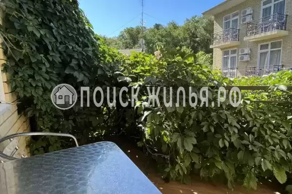 «Горный воздух» «Горный воздух»