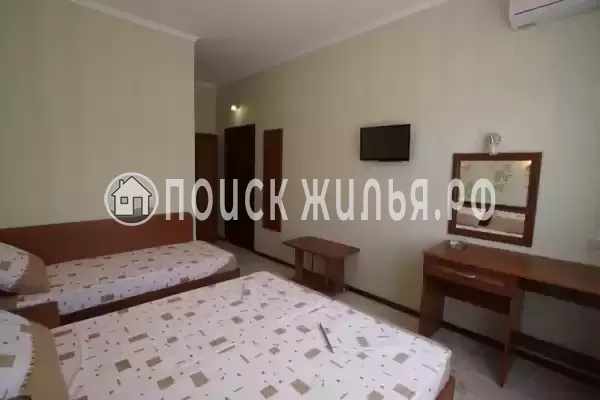 «Адениум» «Адениум»