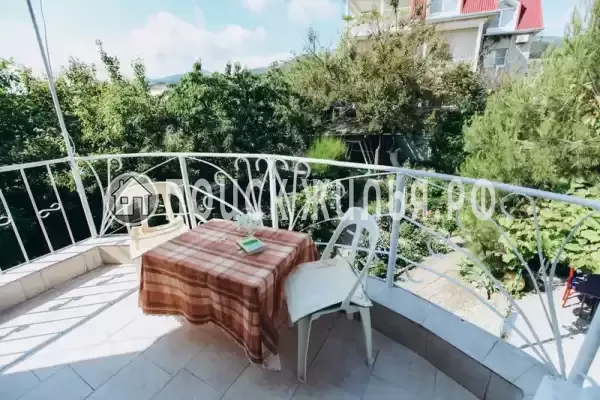 «Green Oasis+» «Green Oasis+»