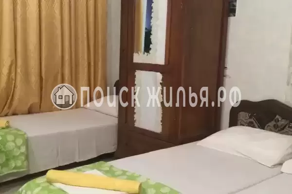 «Green Oasis+» «Green Oasis+»