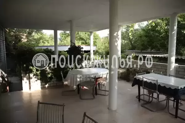 «Green Oasis+» «Green Oasis+»