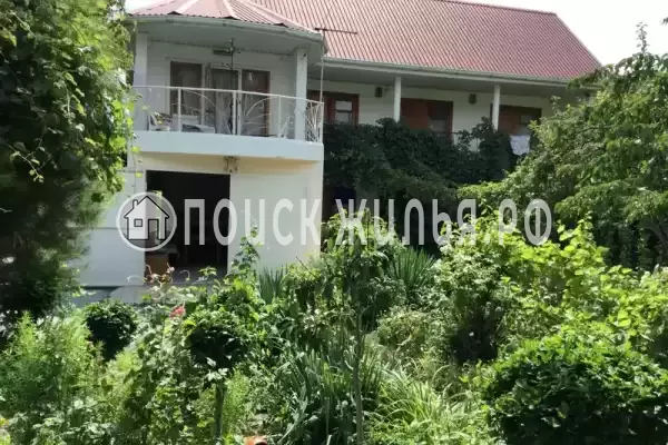 «Green Oasis+» «Green Oasis+»