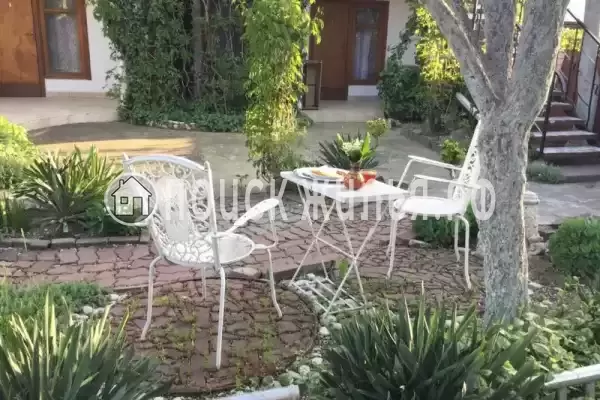 «Green Oasis+» «Green Oasis+»