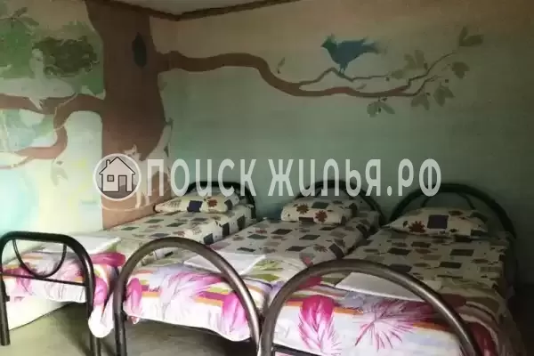 «Green Oasis+» «Green Oasis+»