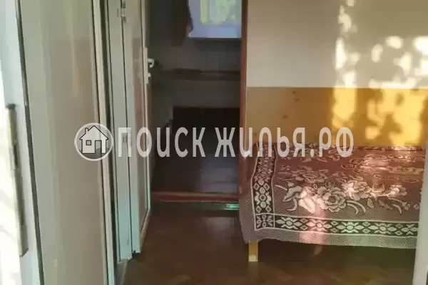 «Рыжий кот»