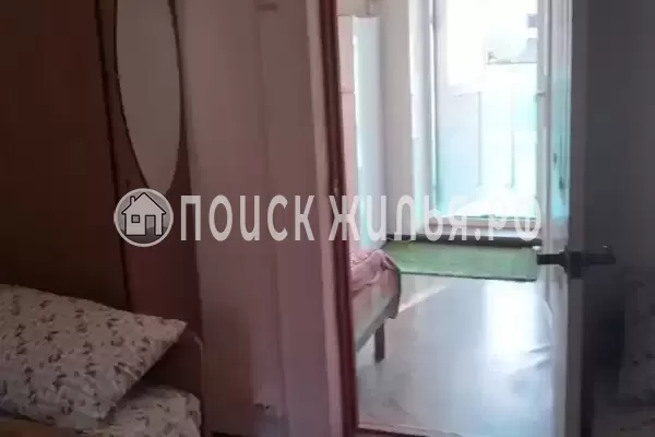 «Рыжий кот»