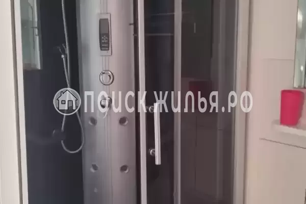 «Рыжий кот»