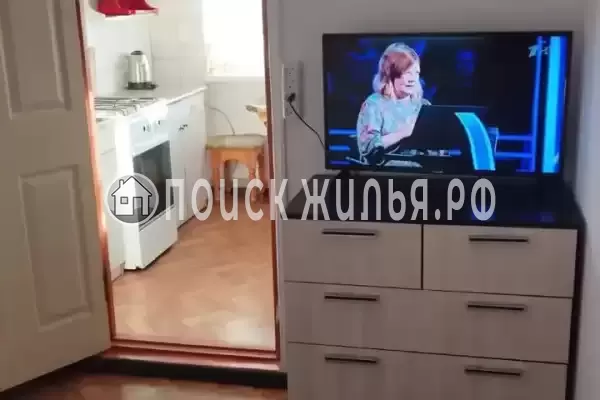 «Рыжий кот»