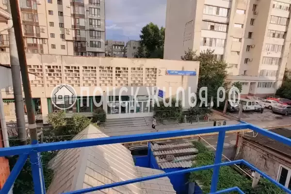 «Арника» «Арника»