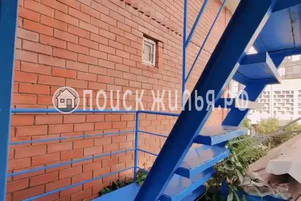 «Арника» «Арника»