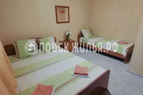 «Арника» «Арника»