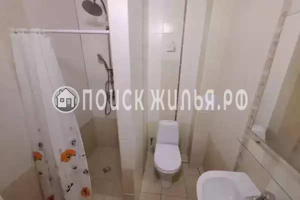 «Арника» «Арника»