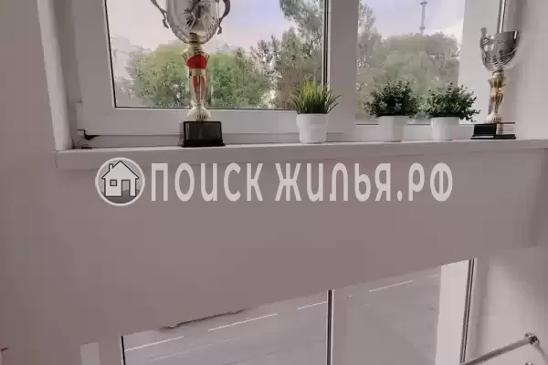 «Арника» «Арника»