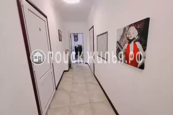 «Арника» «Арника»