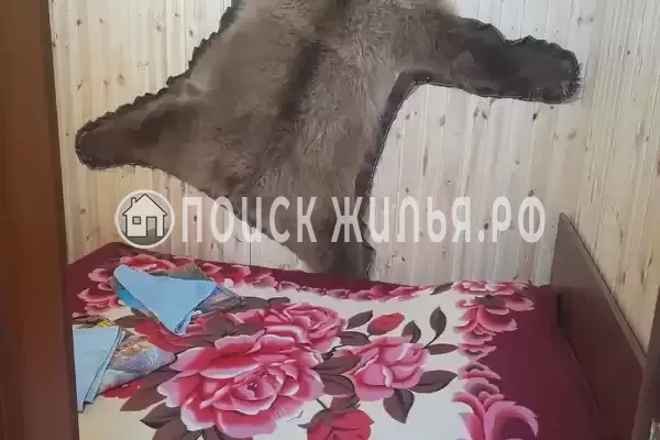 «Беренгия» «Беренгия»