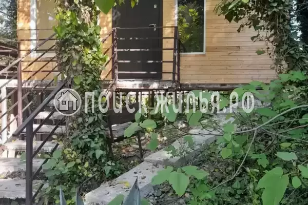 «Беренгия» «Беренгия»