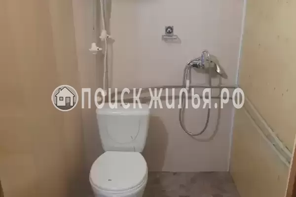 «Беренгия» «Беренгия»