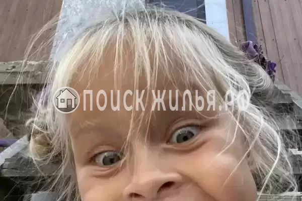 «Изабелла» «Изабелла»