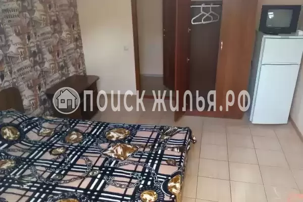 «Золотая рыбка» «Золотая рыбка»