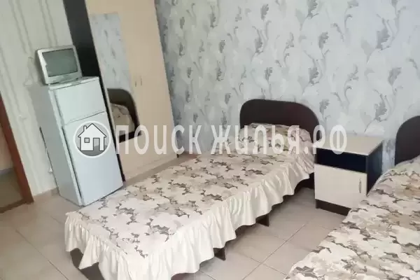 «Золотая рыбка» «Золотая рыбка»