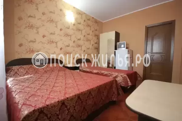 «Золотая рыбка» «Золотая рыбка»