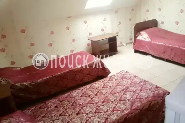 «Золотая рыбка» «Золотая рыбка»