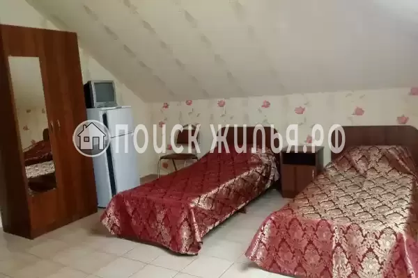 «Золотая рыбка» «Золотая рыбка»