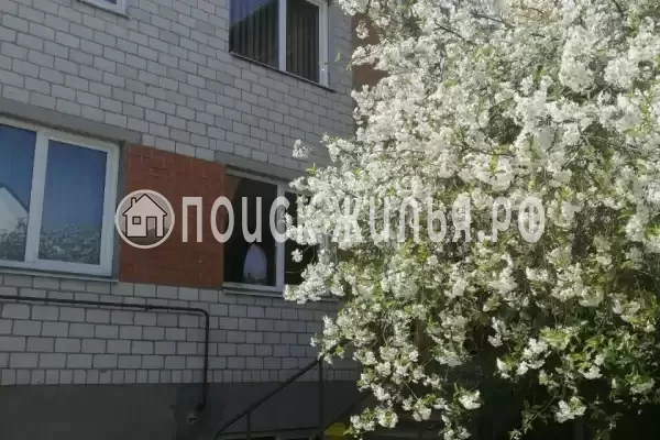 Гостевой дом «Раиса»