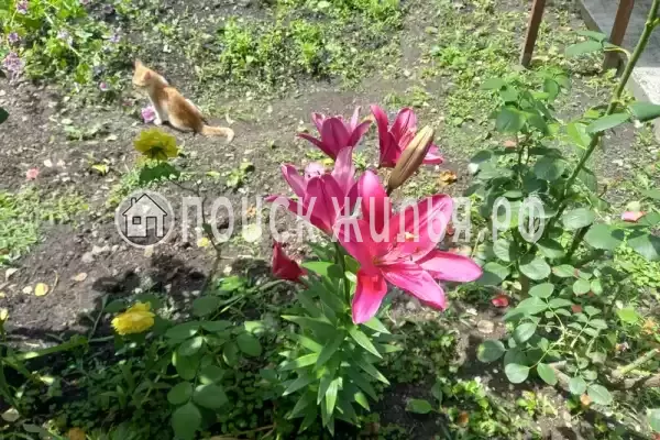 Дом под ключ «У Анжелы»