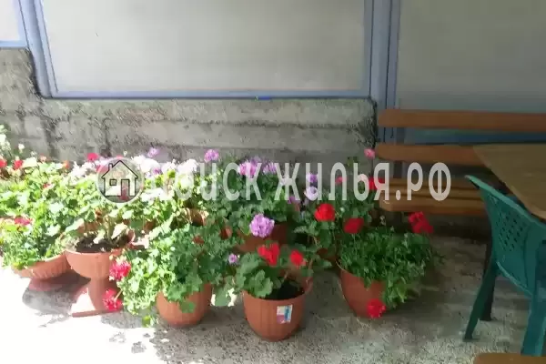 Дом под ключ «У Анжелы»