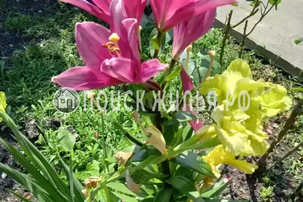 Дом под ключ «У Анжелы»