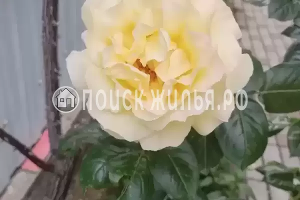 Дом под ключ «Этаж под ключ до 10 гостей»