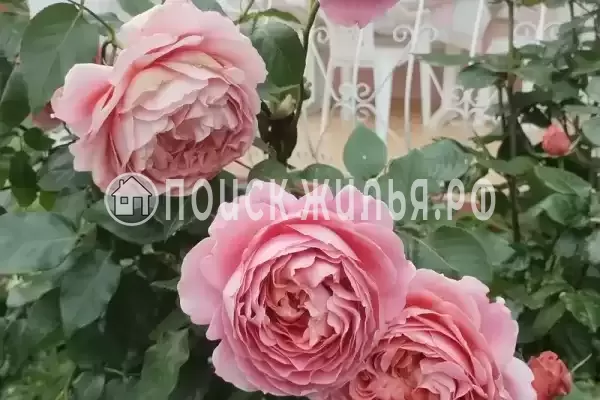 Дом под ключ «Этаж под ключ до 10 гостей»