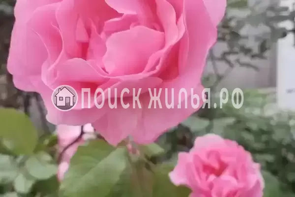 Дом под ключ «Этаж под ключ до 10 гостей»