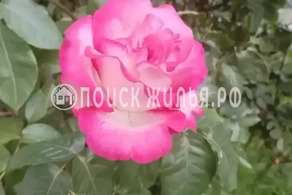 Дом под ключ «Этаж под ключ до 10 гостей»