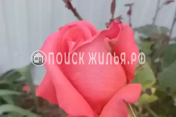 Дом под ключ «Этаж под ключ до 10 гостей»