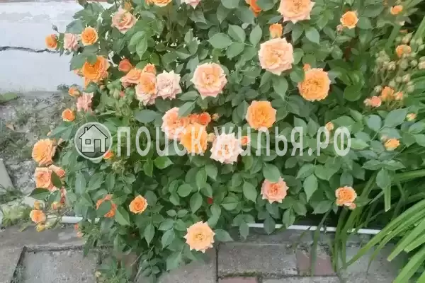 Дом под ключ «Этаж под ключ до 10 гостей»